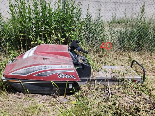 Sting Snowmobile